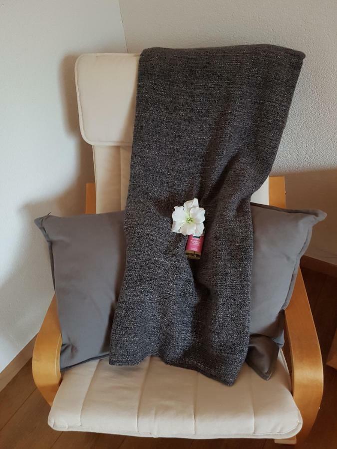 Ferien Im Gugger Appartement Nesslau Buitenkant foto